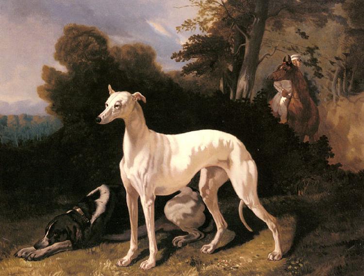 Alfred Dedreux A Greyhound In An Extensive Landscape oil painting image
